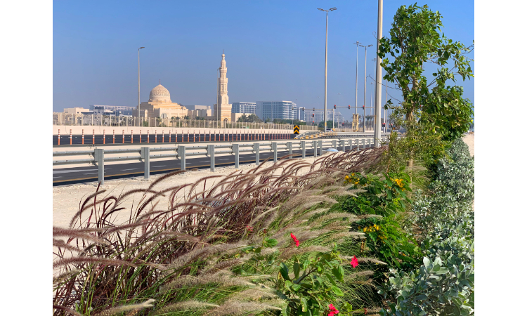 ديار المحرق تُعلن عن اكتمال مشروع تشجير الطريق المتصل بمدخل المدينة